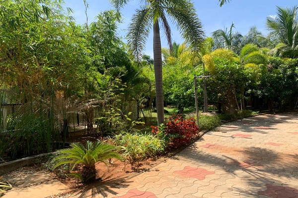 Ever Green Resorts